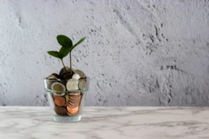 jar of coins with a leaf growing out of it